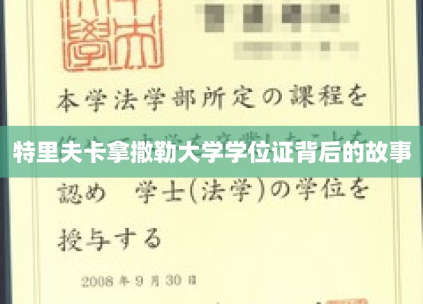 特里夫卡拿撒勒大学学位证，一场不为人知的传奇之旅