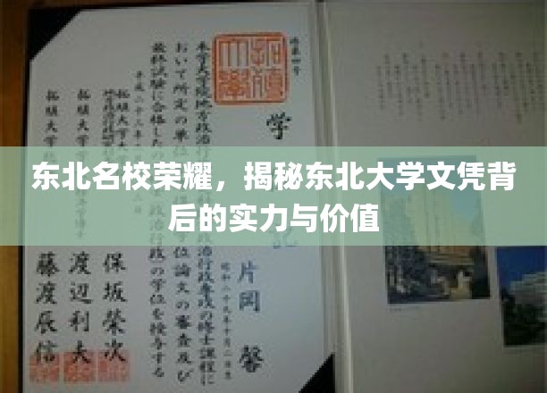 东北名校荣耀，揭秘东北大学文凭背后的实力与价值