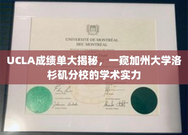 解码UCLA，探寻加州大学洛杉矶分校的学术魅力
