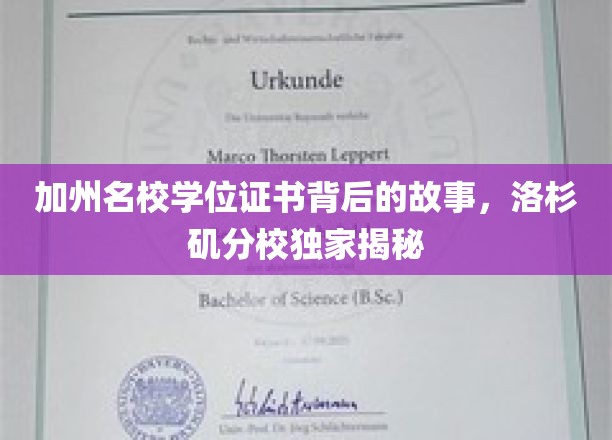 加州名校学位证书背后的故事，洛杉矶分校独家揭秘