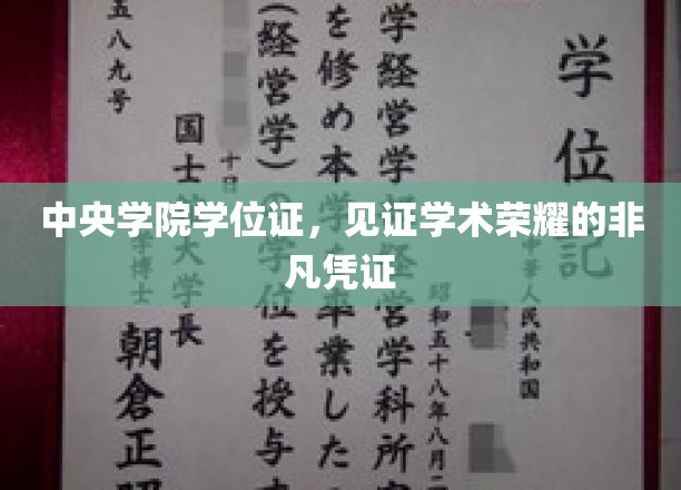 中央学院学位证，见证学术荣耀的非凡凭证
