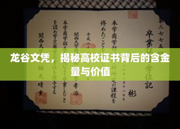 高校证书价值揭秘，龙谷文凭背后的深层含金量探析