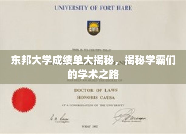 东邦学霸风云录，一探究竟的学术征途