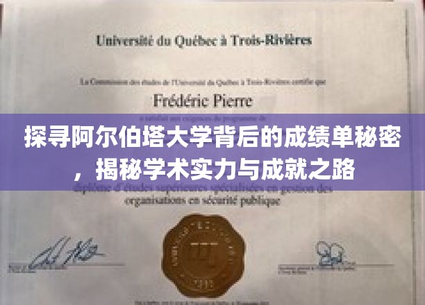 阿尔伯塔大学卓越揭秘，解码顶尖学术成就的奥秘之路