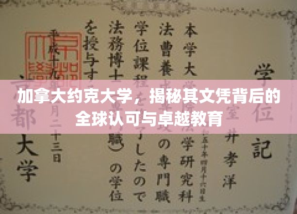 探寻约克大学文凭的国际声望与卓越教育资源