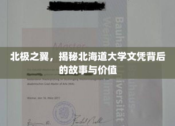 北海道文凭的北极征途，探寻背后的传奇与价值