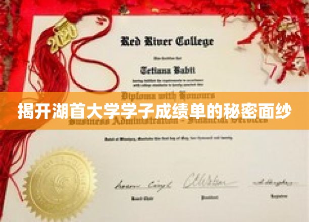 湖首大学学霸养成记，揭秘隐藏在成绩单背后的秘密力量