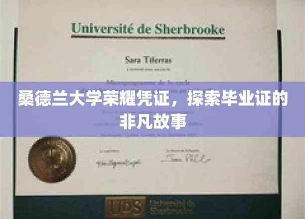 桑德兰大学荣耀凭证，探索毕业证的非凡故事