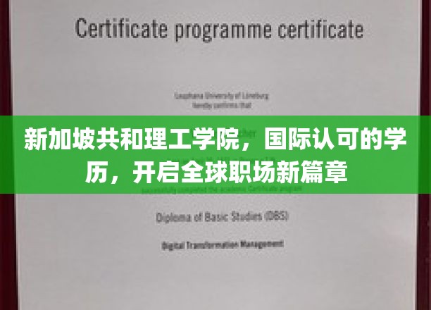 新加坡共和理工学院，国际通行证，助力学子职场飞跃