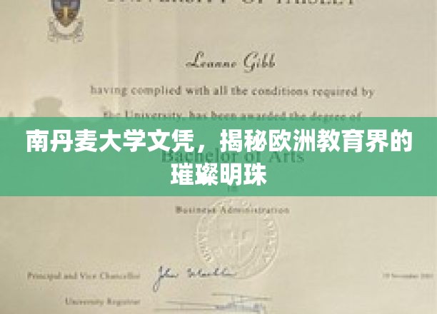 丹麦明珠，南丹麦大学，揭开欧洲教育殿堂的璀璨面纱