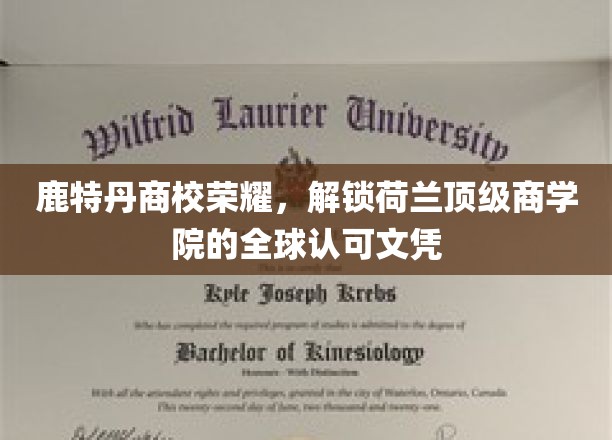 鹿特丹商校独领风骚，荷兰顶级商学院全球文凭荣耀在握