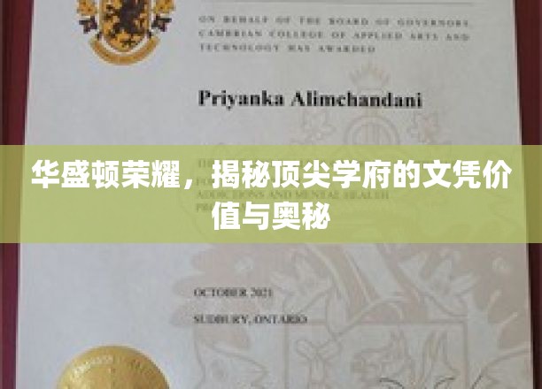解码顶级学府，华盛顿荣耀背后的文凭魅力与价值探秘