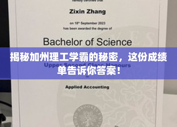 加州学霸养成记，揭秘顶尖学术背后的惊人成绩单