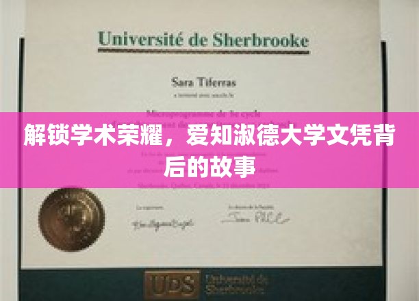 解锁学术荣耀，爱知淑德大学文凭背后的故事