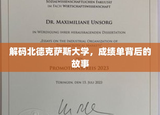 探索北德克萨斯大学，揭开成绩单背后的真实篇章