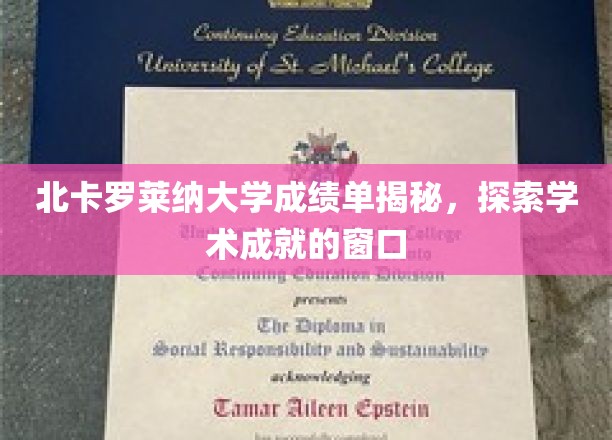 北卡罗莱纳大学成绩单揭秘，探寻学术成就的窗口