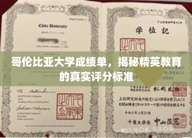 哥伦比亚大学评分之谜，揭秘顶尖学府的评估体系