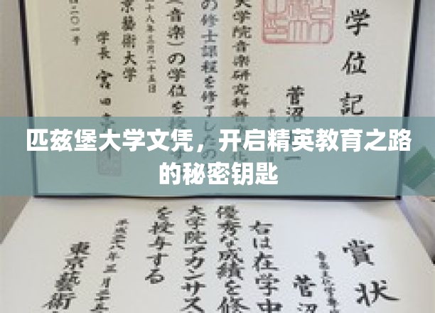 解锁精英教育之门，匹兹堡大学文凭的非凡价值