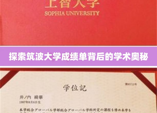 探索筑波大学成绩单背后的学术奥秘