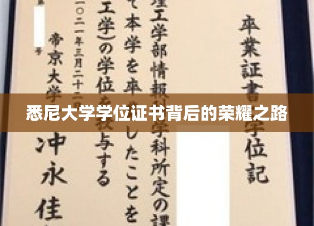 悉尼大学学位证书背后的荣耀之路