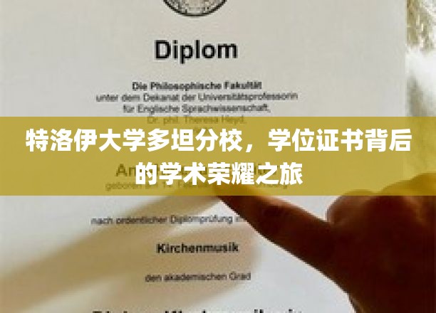 特洛伊大学多坦分校，学位证书背后的学术荣耀之旅