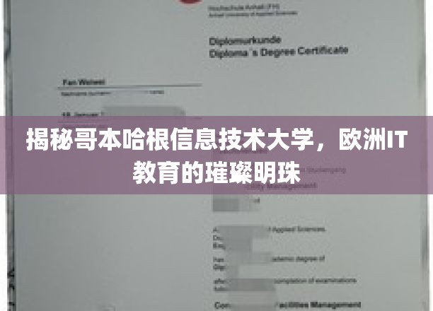 解码哥本哈根信息技术大学，闪耀欧洲的IT教育新星
