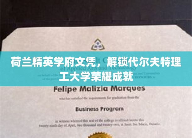 荷兰精英学府文凭，彰显代尔夫特理工大学辉煌成就