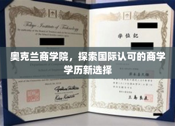奥克兰商学院引领潮流，解锁国际商学教育新篇章