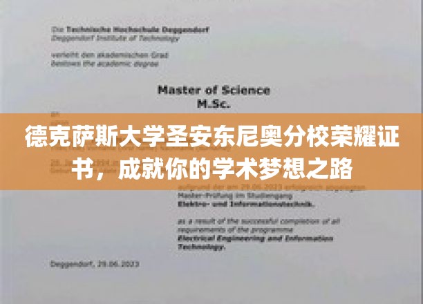 解锁学术巅峰，德克萨斯大学圣安东尼奥分校荣耀证书助你梦想翱翔