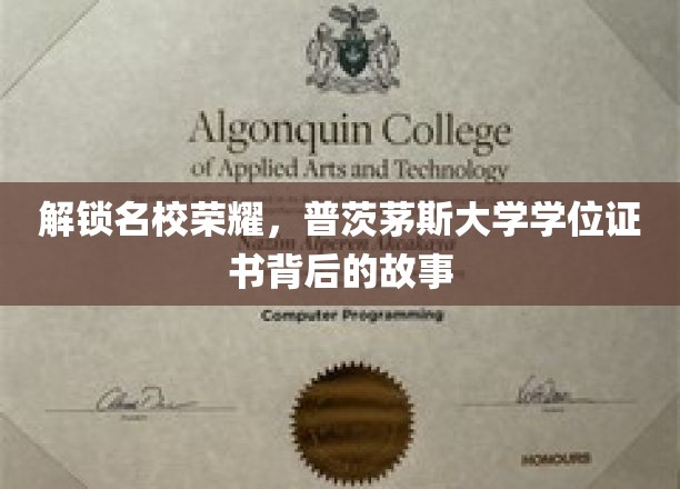探寻普茨茅斯大学学位证书背后的辉煌故事