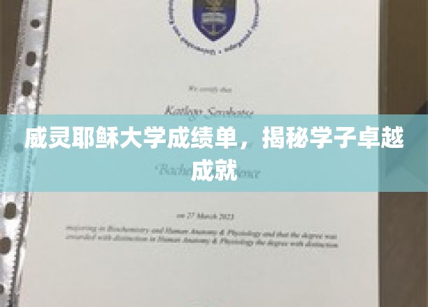 威灵耶稣大学学霸风采，成绩单见证非凡成就