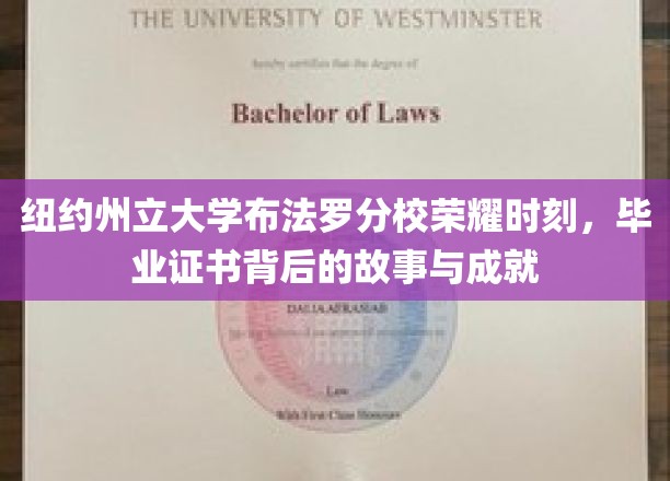 纽约州立大学布法罗分校荣耀时刻，毕业证书背后的故事与成就