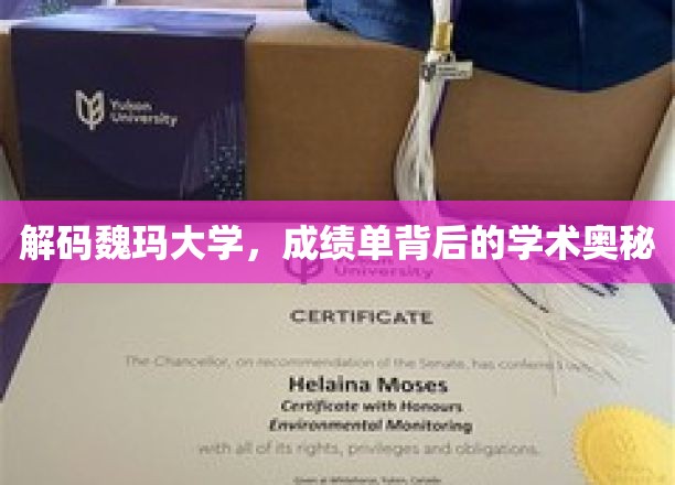 解码魏玛大学：成绩单中的学术魅力