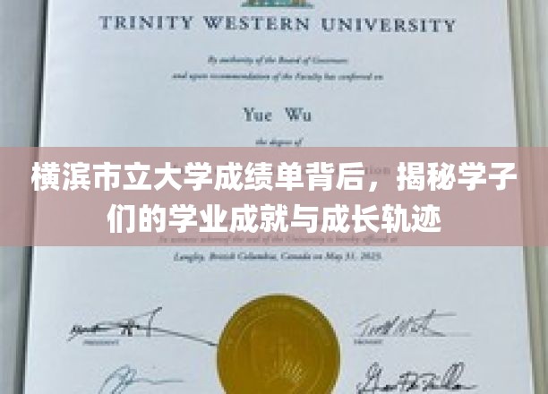横滨市立大学成绩单背后，揭示学子们的学业成就与成长轨迹