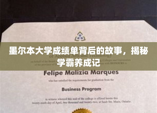墨尔本大学成绩单背后的故事，揭秘学霸养成之路