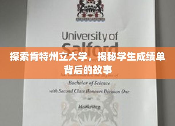 探索肯特州立大学，揭秘学生成绩单背后的故事