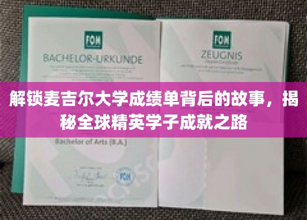 探索麦吉尔大学成绩单背后的故事，揭秘全球精英学子成就之路