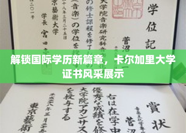 跨国学历认证新潮流，卡尔加里大学证书魅力绽放