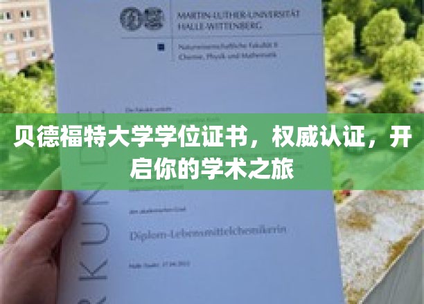 贝德福特大学学位证书，解锁学术殿堂之门