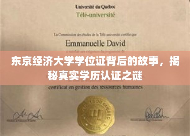 东京经济大学学位证，探寻学历认证背后的传奇故事