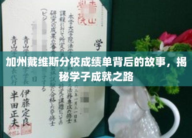 解码戴维斯精英，揭开加州学子卓越背后的秘密旅程