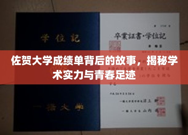 探寻佐贺大学成绩单背后的青春轨迹与学术辉煌
