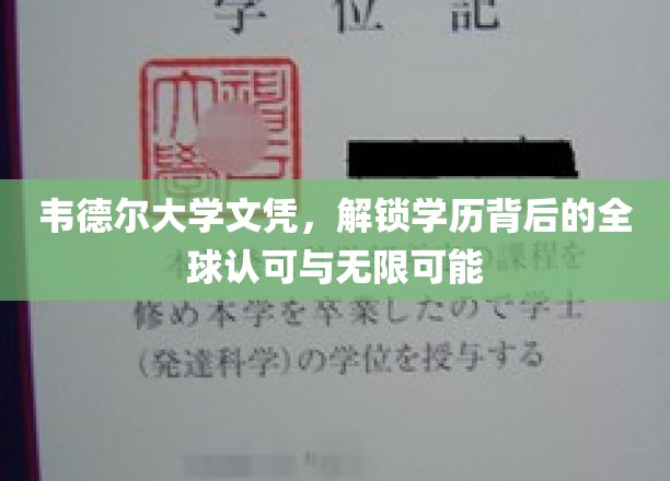 韦德尔大学文凭，开启国际通行证与无限职业新篇章