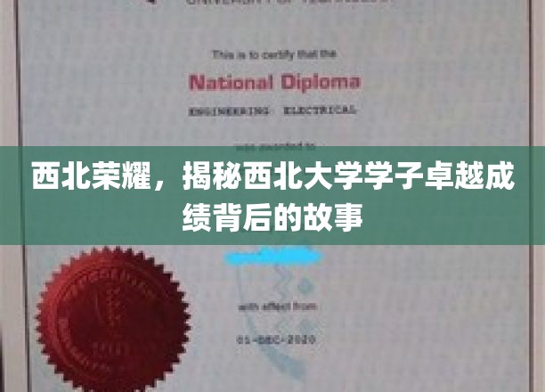 西北骄子，揭秘学子成就背后砥砺奋进的篇章