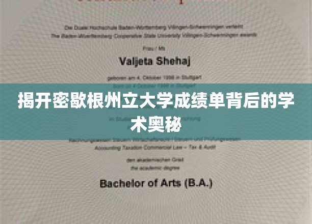 揭秘密歇根州立大学成绩单，探寻学术成就的秘密之门