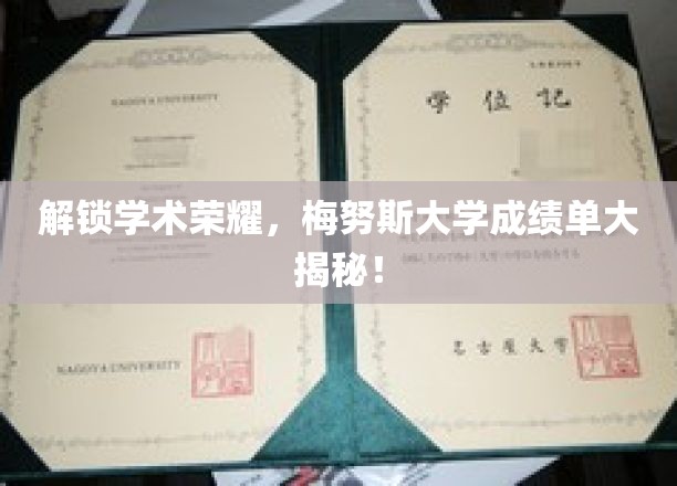 解锁学术荣耀，梅努斯大学成绩单大揭秘！