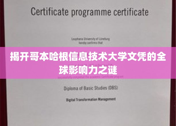 解码哥本哈根信息技术大学文凭的国际影响力