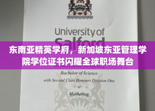 新加坡东亚管理学院，国际认可的学位证书，助力职场精英闪耀东南亚