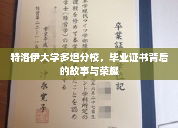 揭秘特洛伊大学多坦分校，毕业证书背后的传奇与荣耀之光