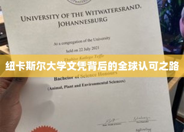 纽卡斯尔荣耀，探索全球认可的大学文凭奥秘
